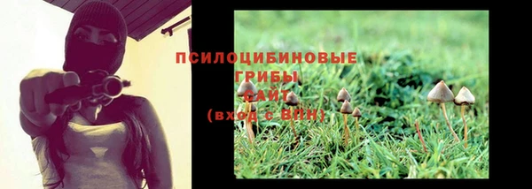 прущая мука Армянск