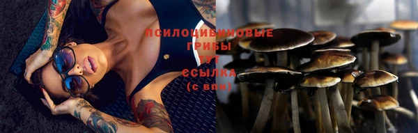 прущая мука Армянск
