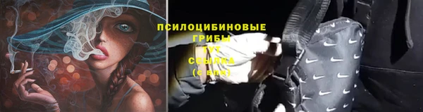 Альфа ПВП Арсеньев