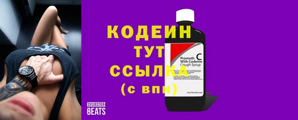 Альфа ПВП Арсеньев