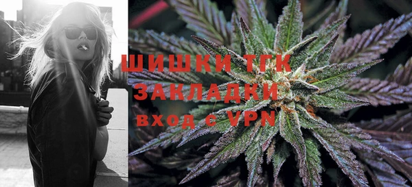 apvp Новозыбков