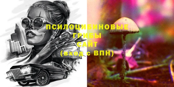 Альфа ПВП Арсеньев
