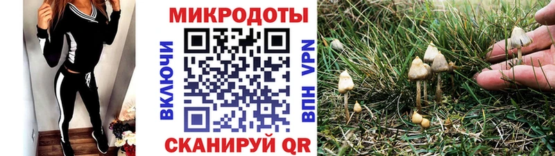 mega как зайти  Бавлы  Псилоцибиновые грибы мицелий 